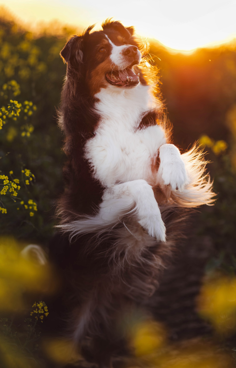 Manon Knasko Photographies